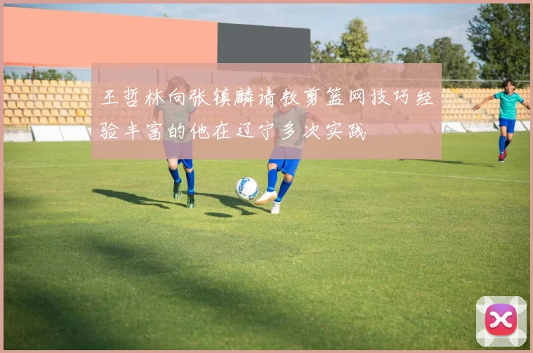 王哲林向张镇麟请教剪篮网技巧经验丰富的他在辽宁多次实践