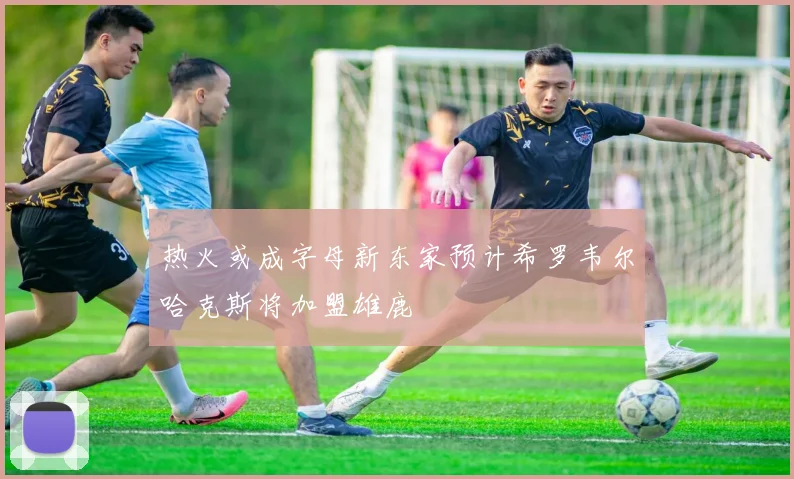 热火或成字母新东家预计希罗韦尔哈克斯将加盟雄鹿