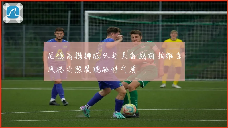 厄德高携挪威队赴美备战前拍维京风格合照展现独特气质